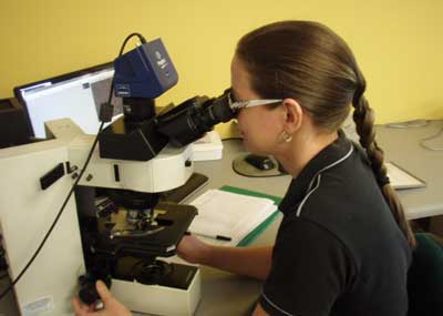 Technician Analysing Sample